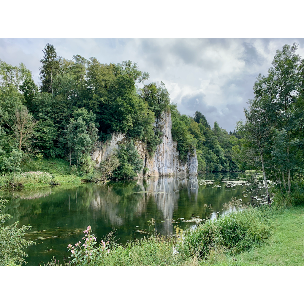 europe2019_web - 430