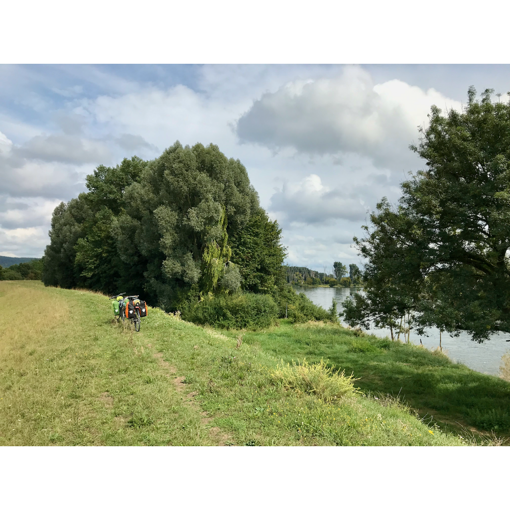 europe2019_web - 511