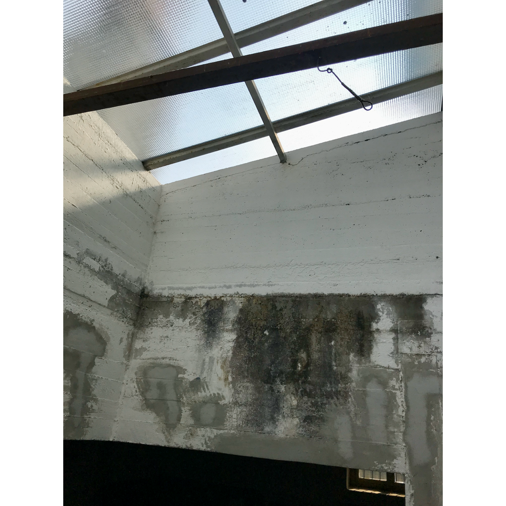 europe2019_web - 550