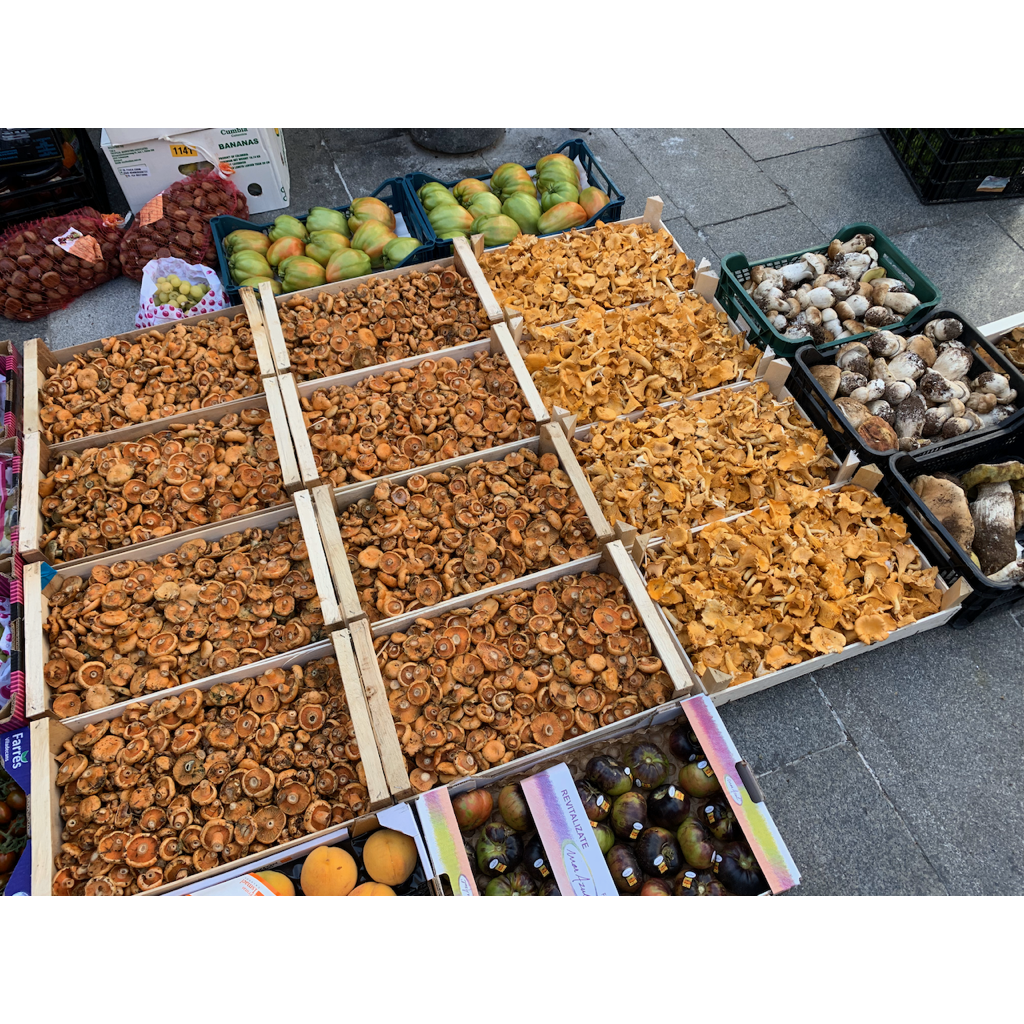 europe2019_web - 1029