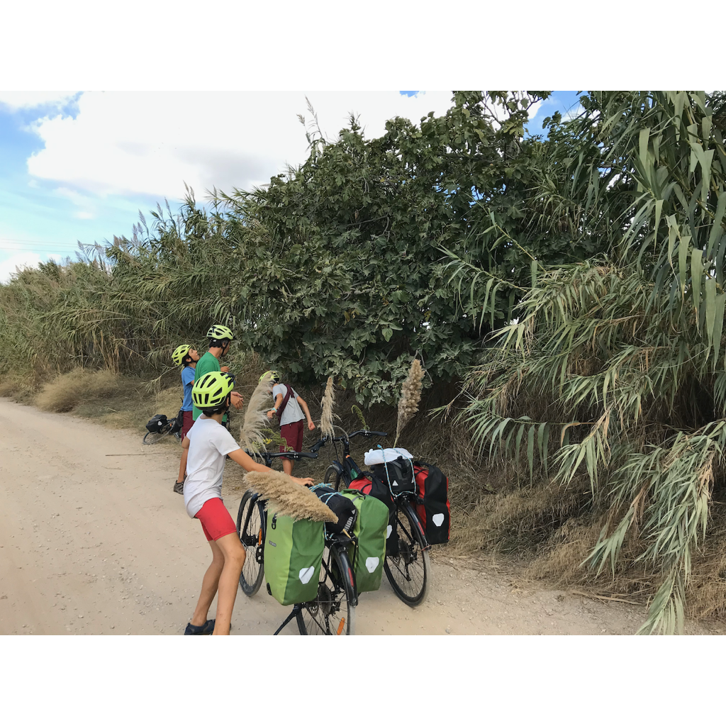 europe2019_web - 1042