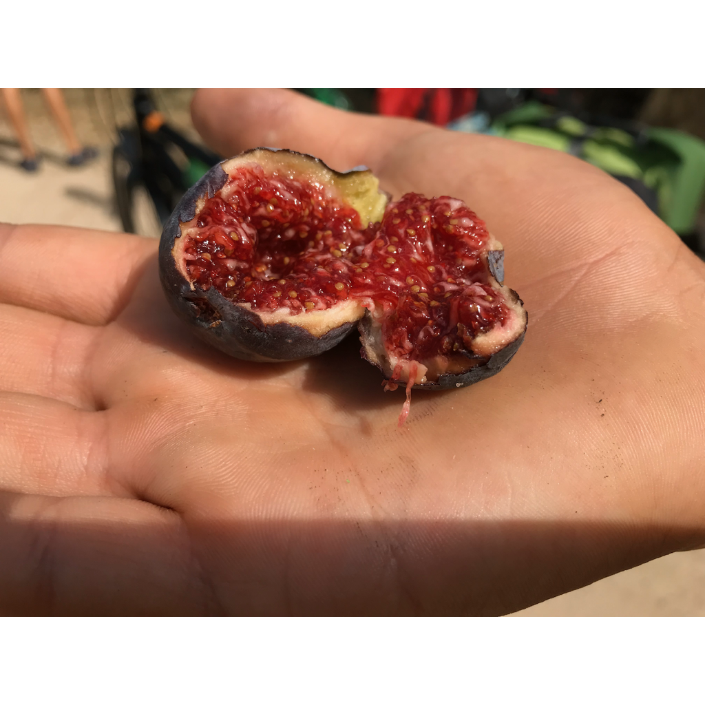 europe2019_web - 1043