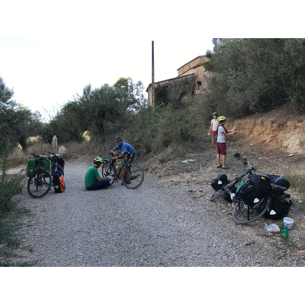 europe2019_web - 1047