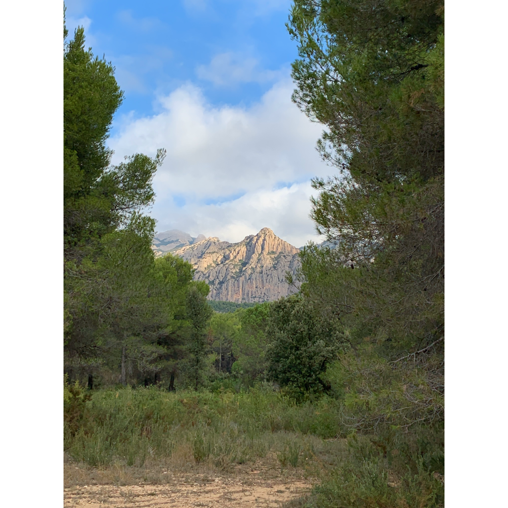 europe2019_web - 1053