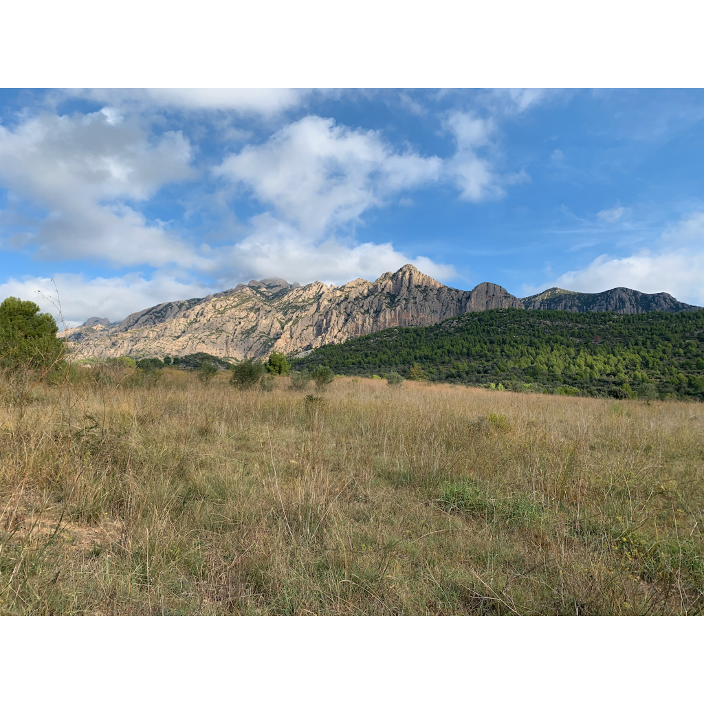 europe2019_web - 1055