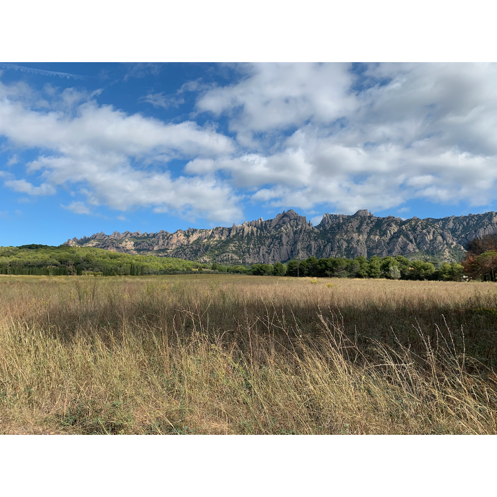 europe2019_web - 1056