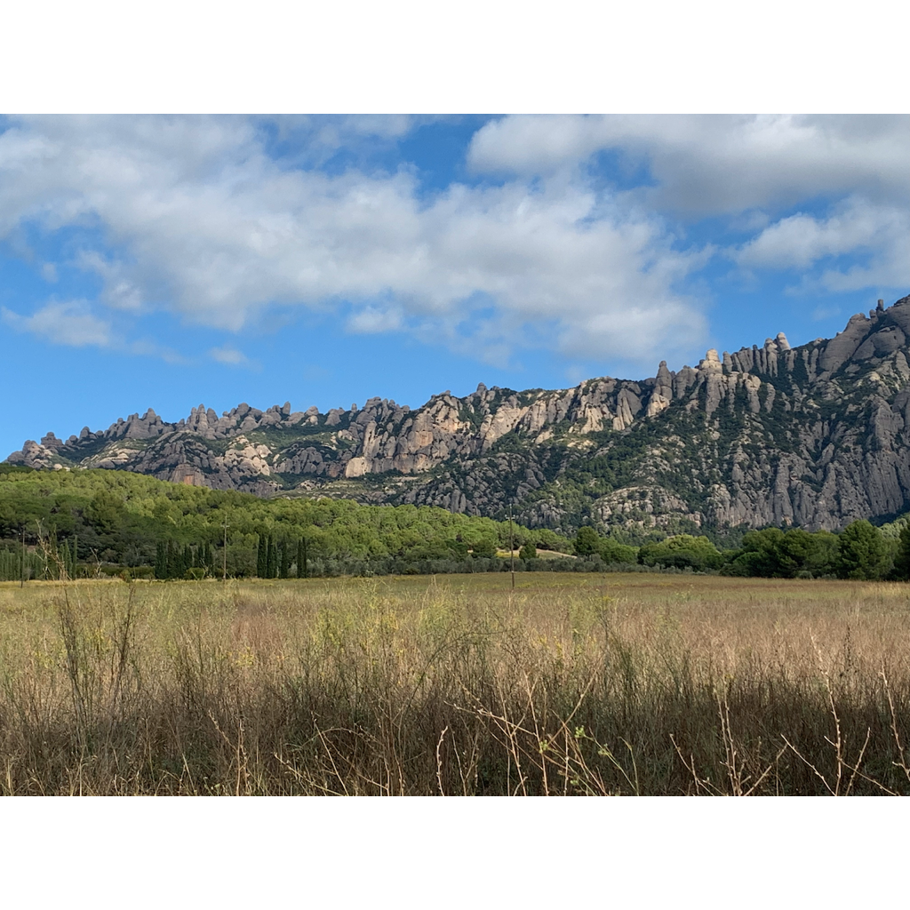 europe2019_web - 1057