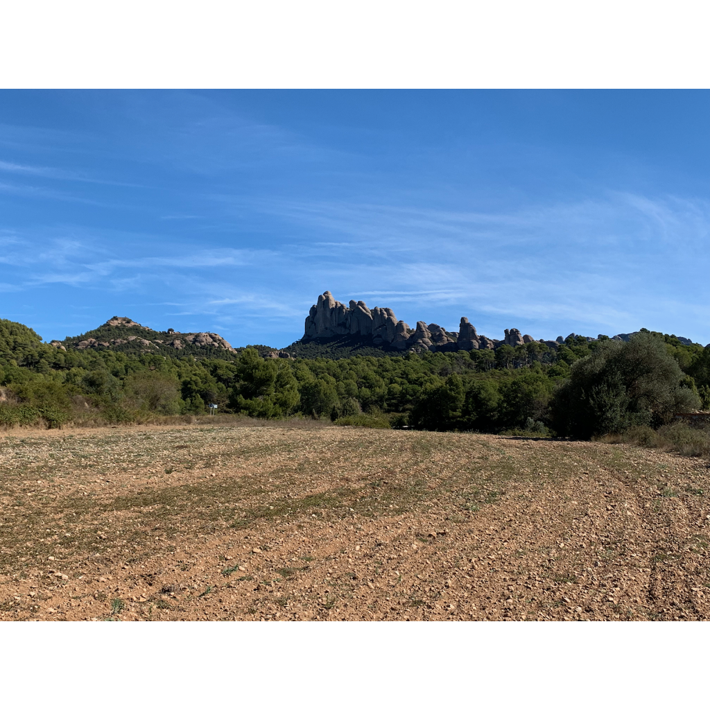 europe2019_web - 1060