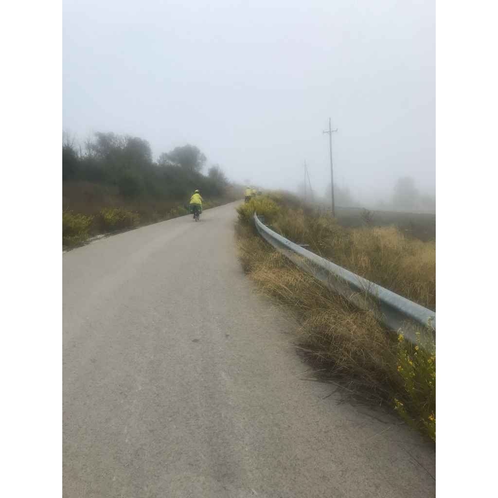 europe2019_web - 1064