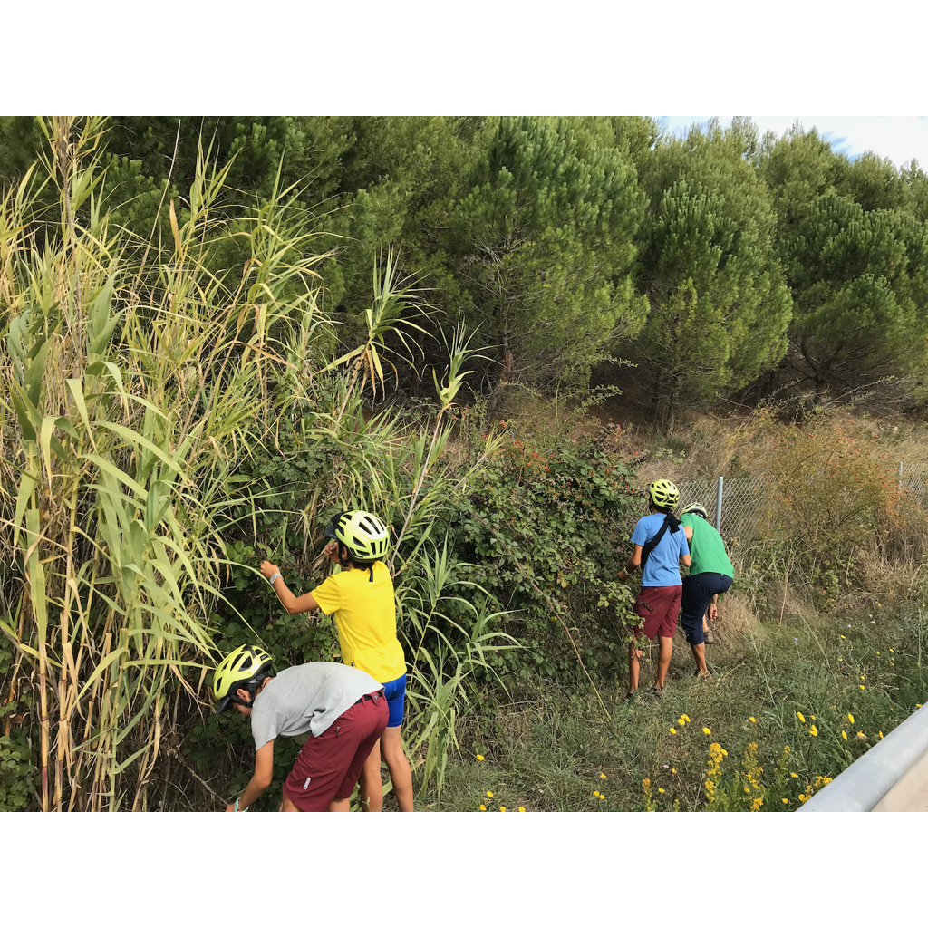 europe2019_web - 1066