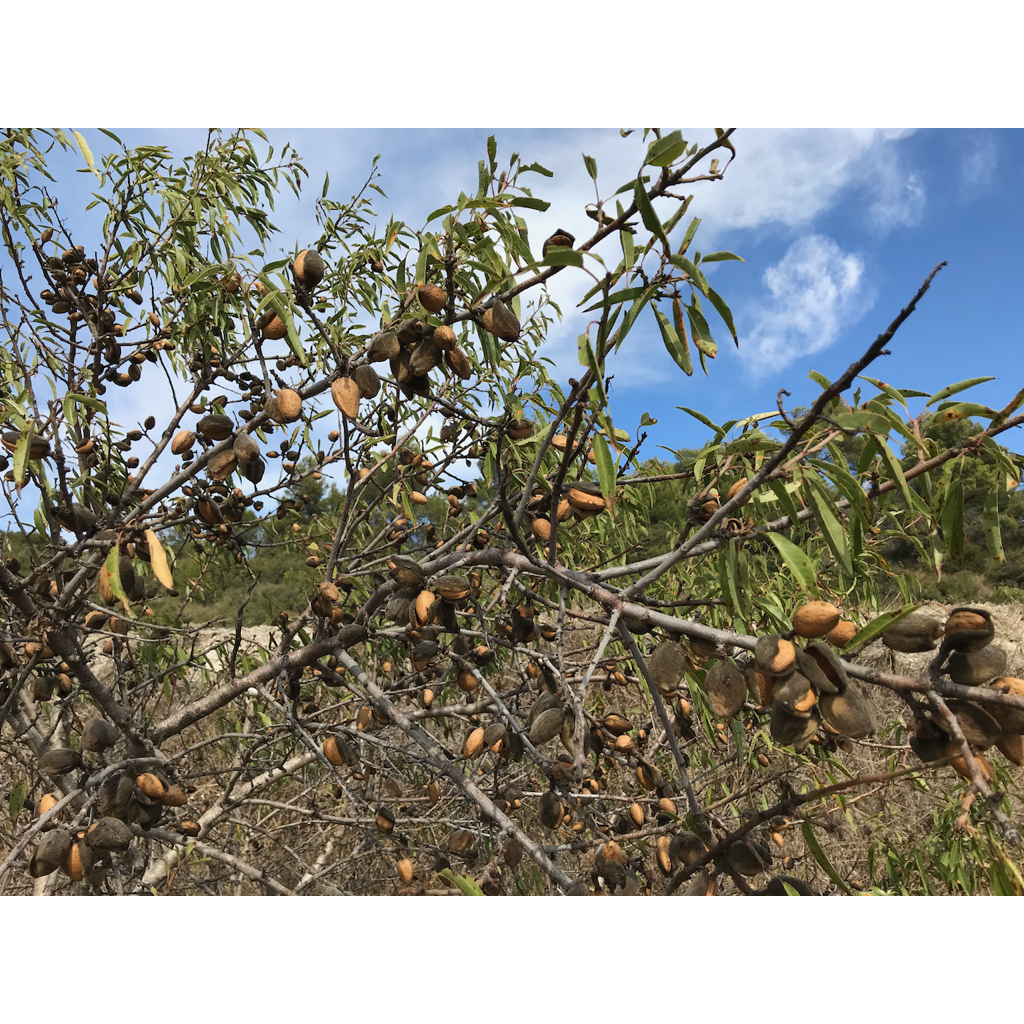 europe2019_web - 1071