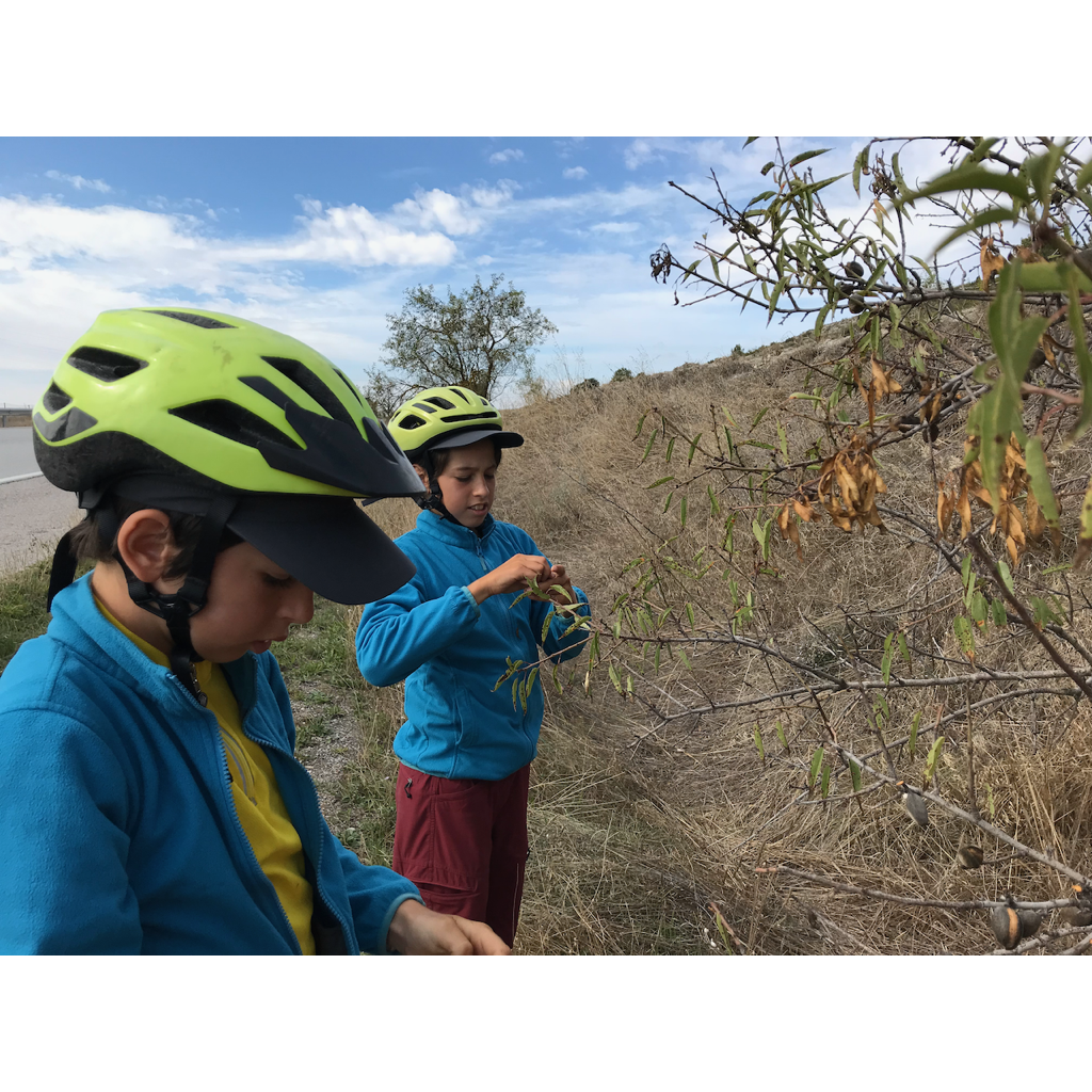 europe2019_web - 1072