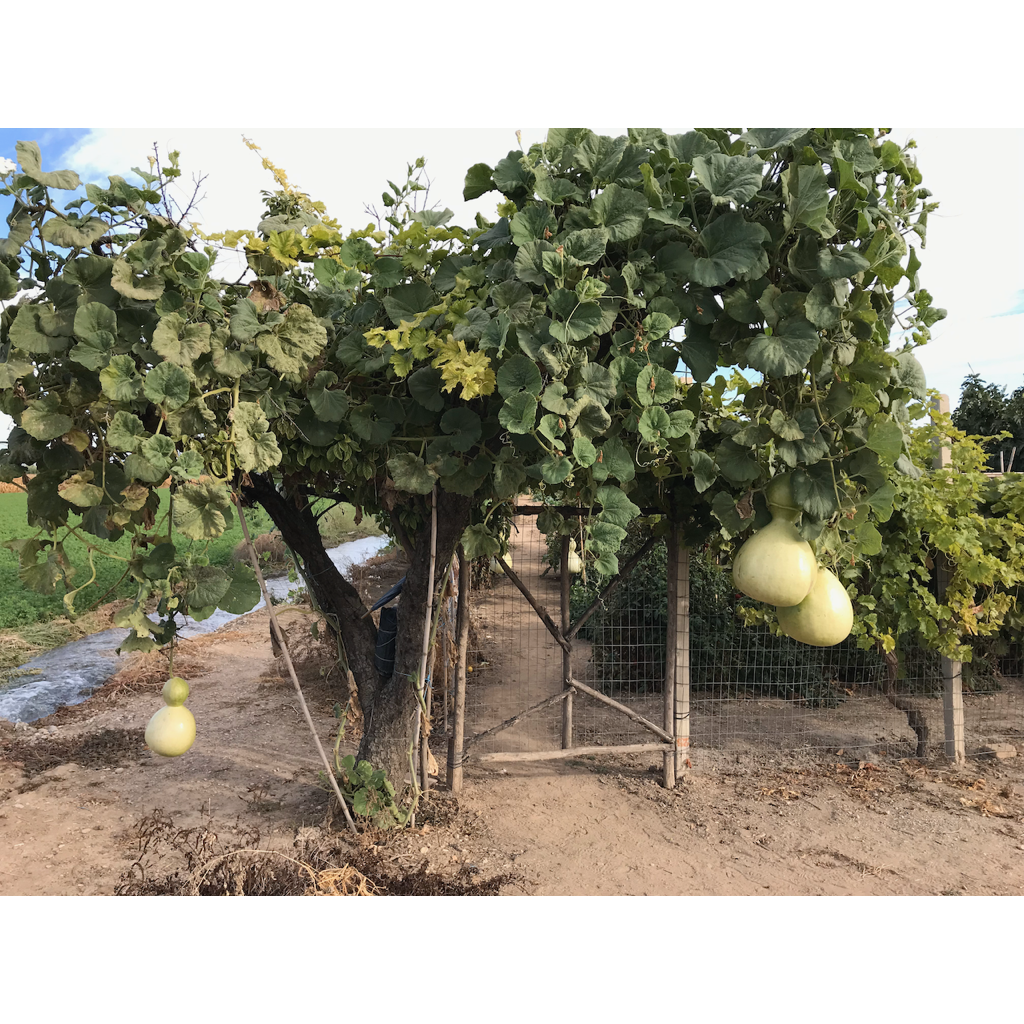 europe2019_web - 1078