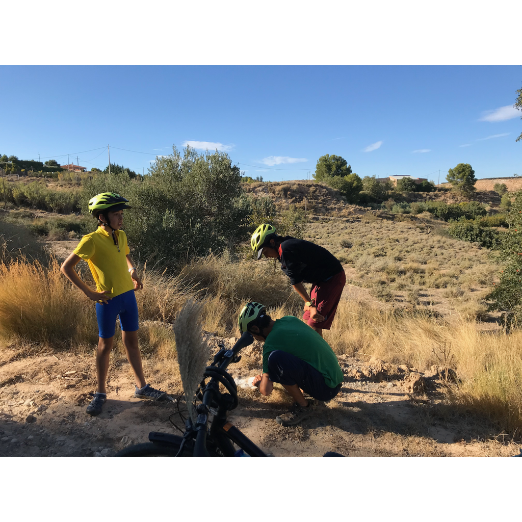 europe2019_web - 1079