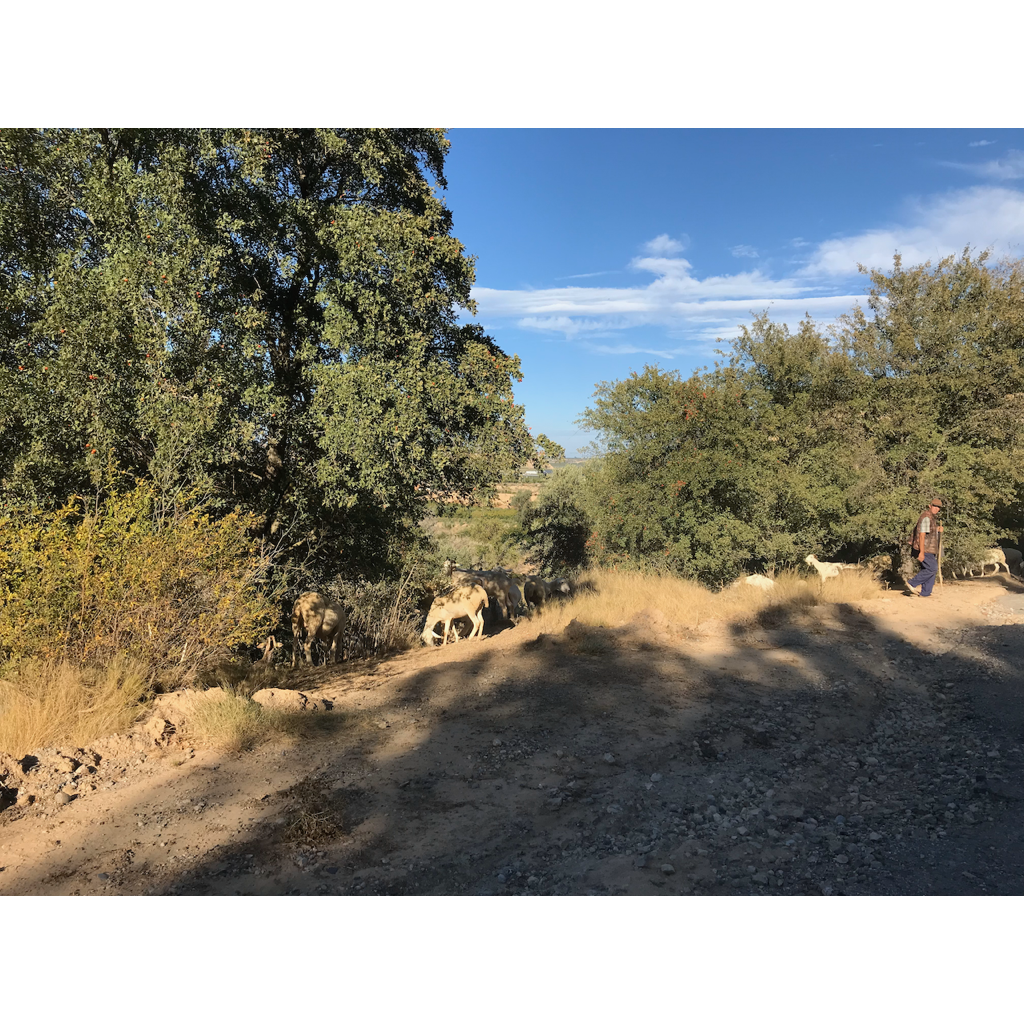 europe2019_web - 1080