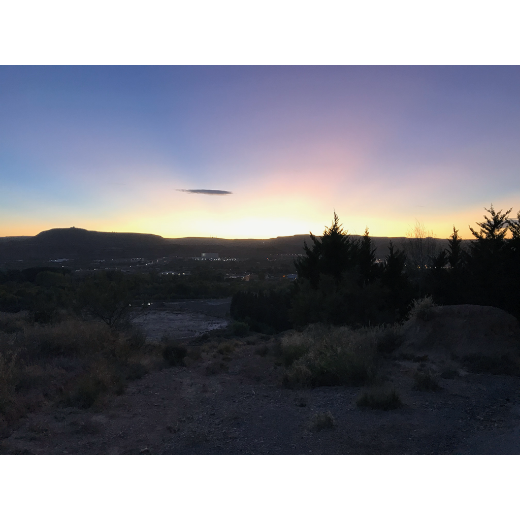 europe2019_web - 1083