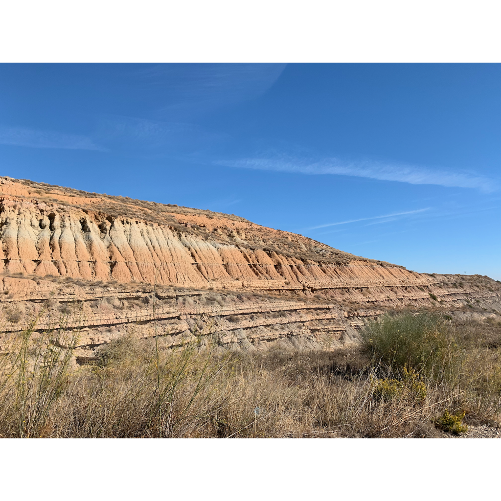 europe2019_web - 1088