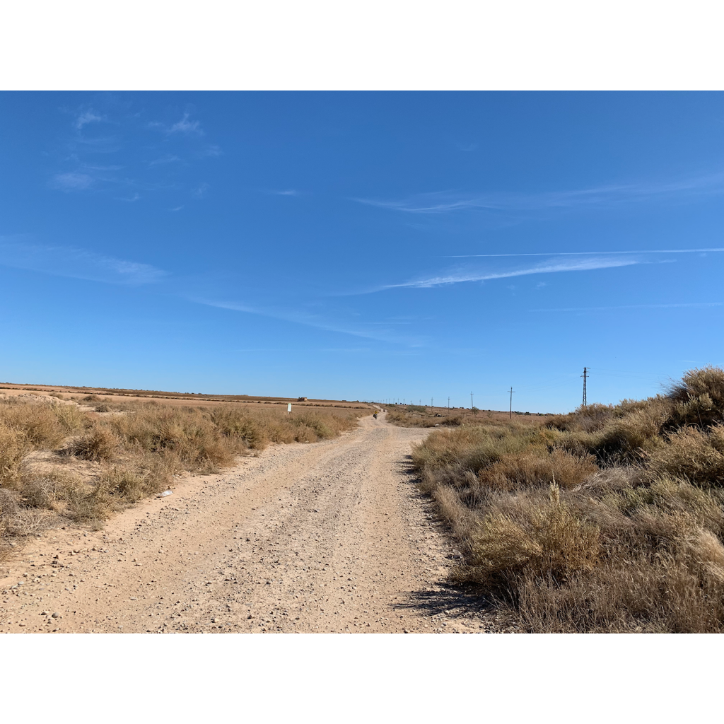 europe2019_web - 1090