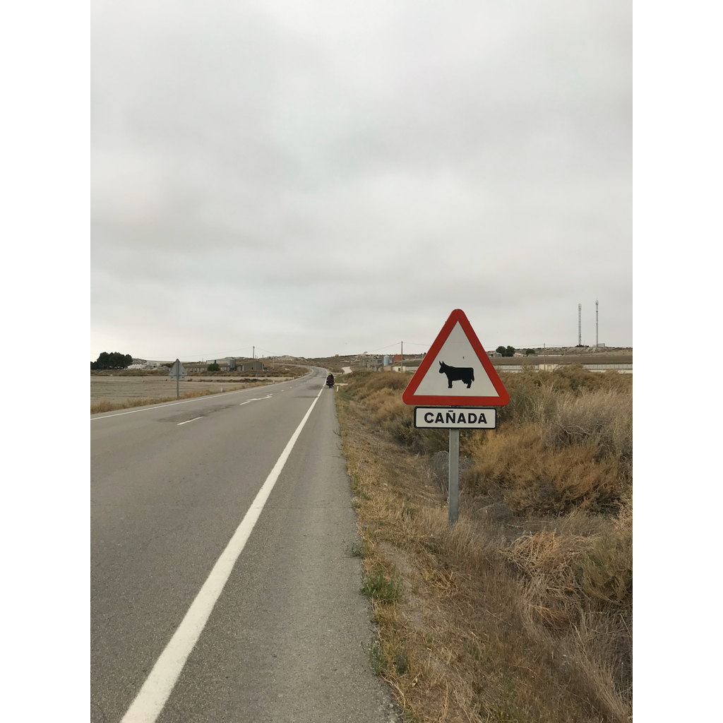 europe2019_web - 1095