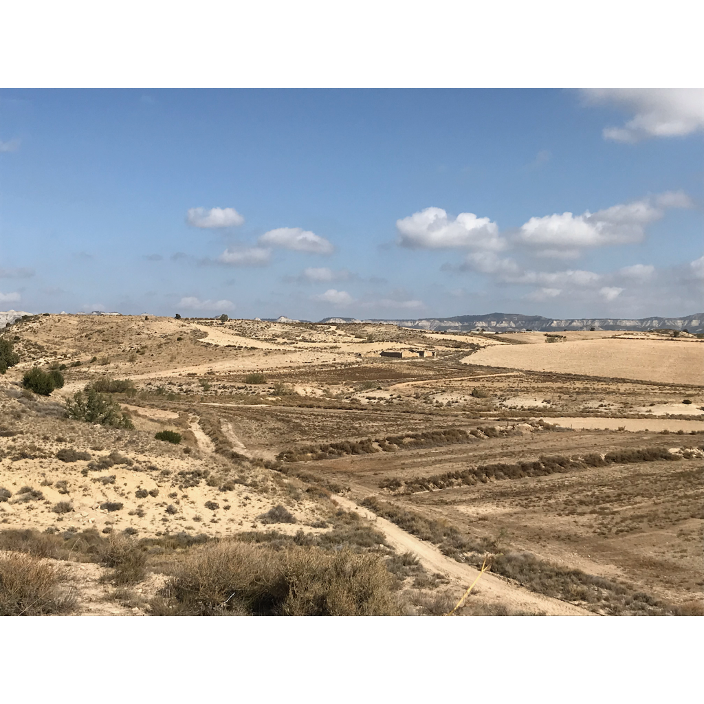 europe2019_web - 1104