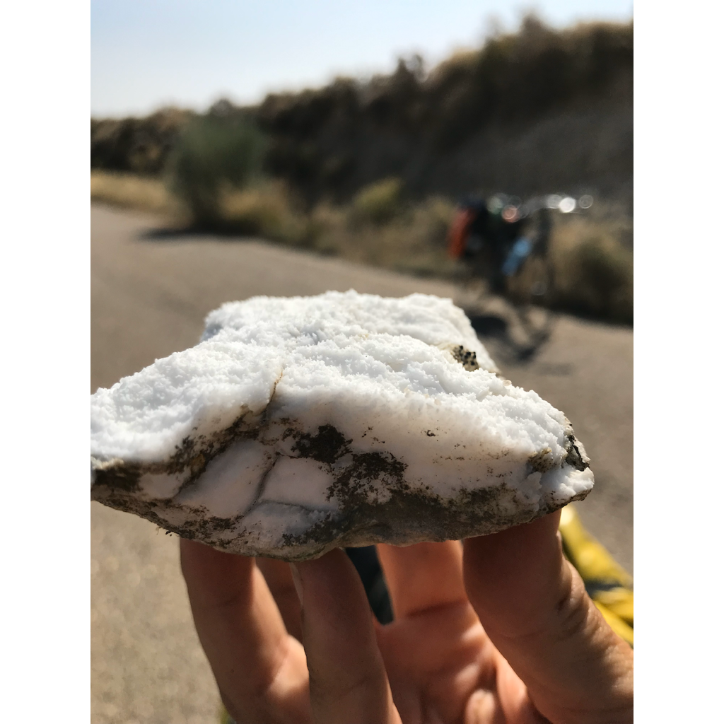 europe2019_web - 1105