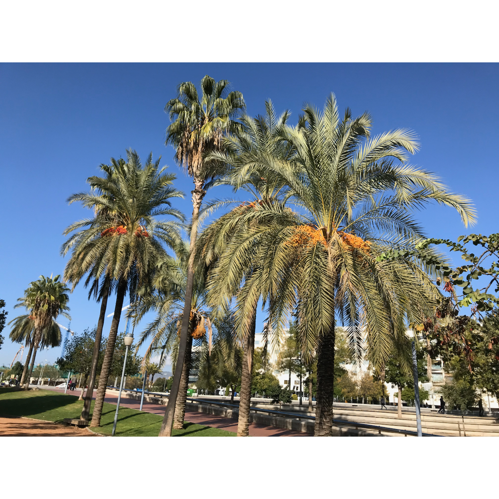 europe2019_web - 1204