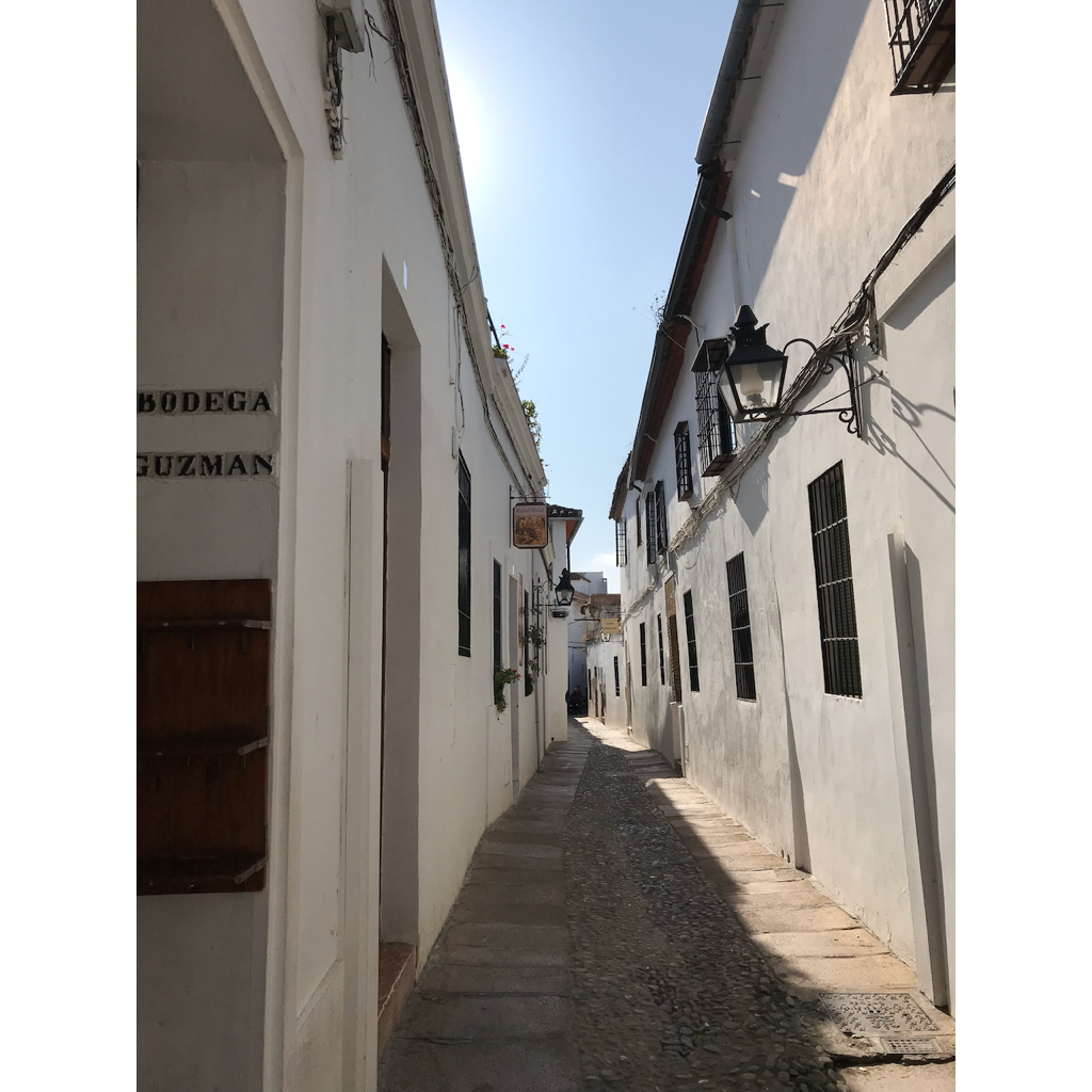 europe2019_web - 1205