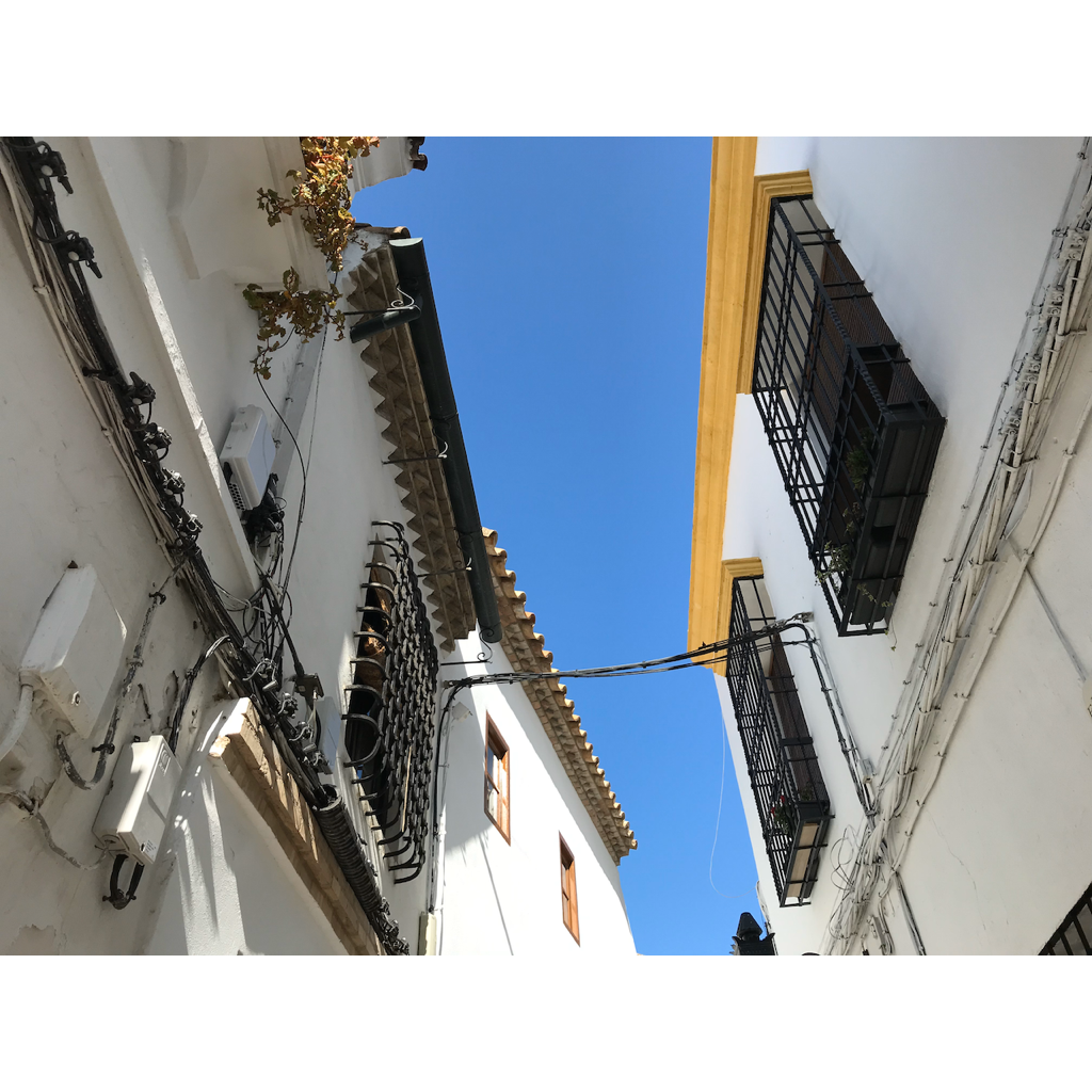 europe2019_web - 1207