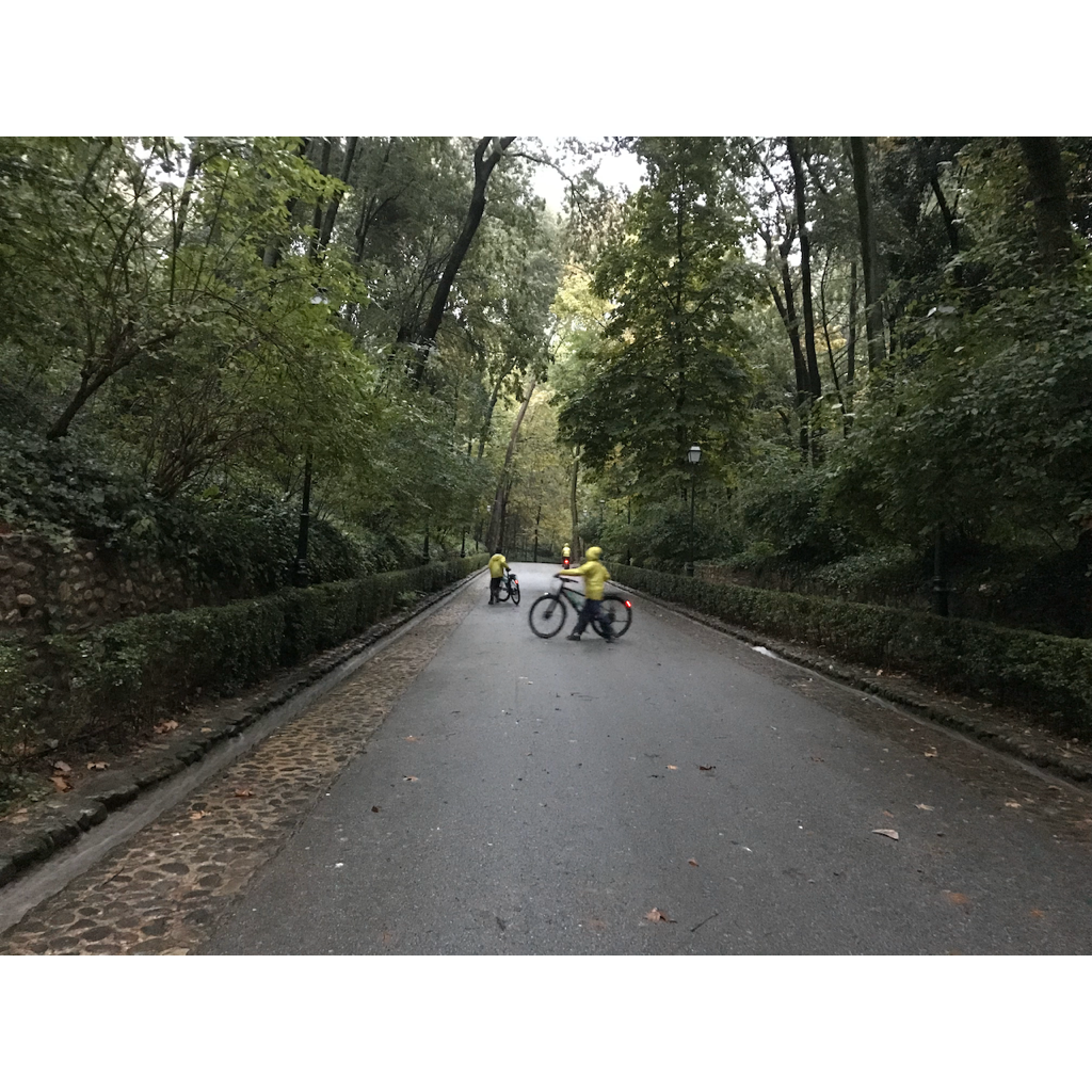 europe2019_web - 1255