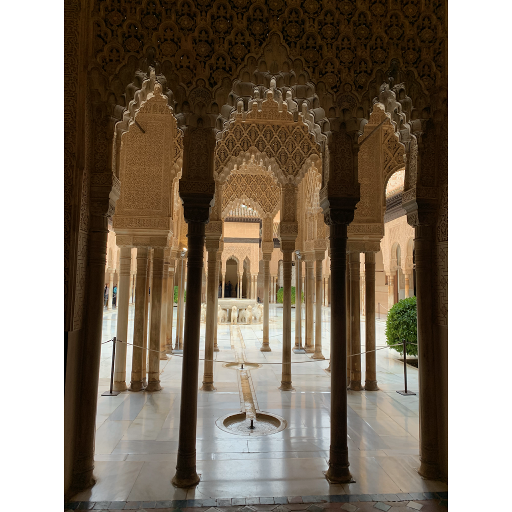 europe2019_web - 1264