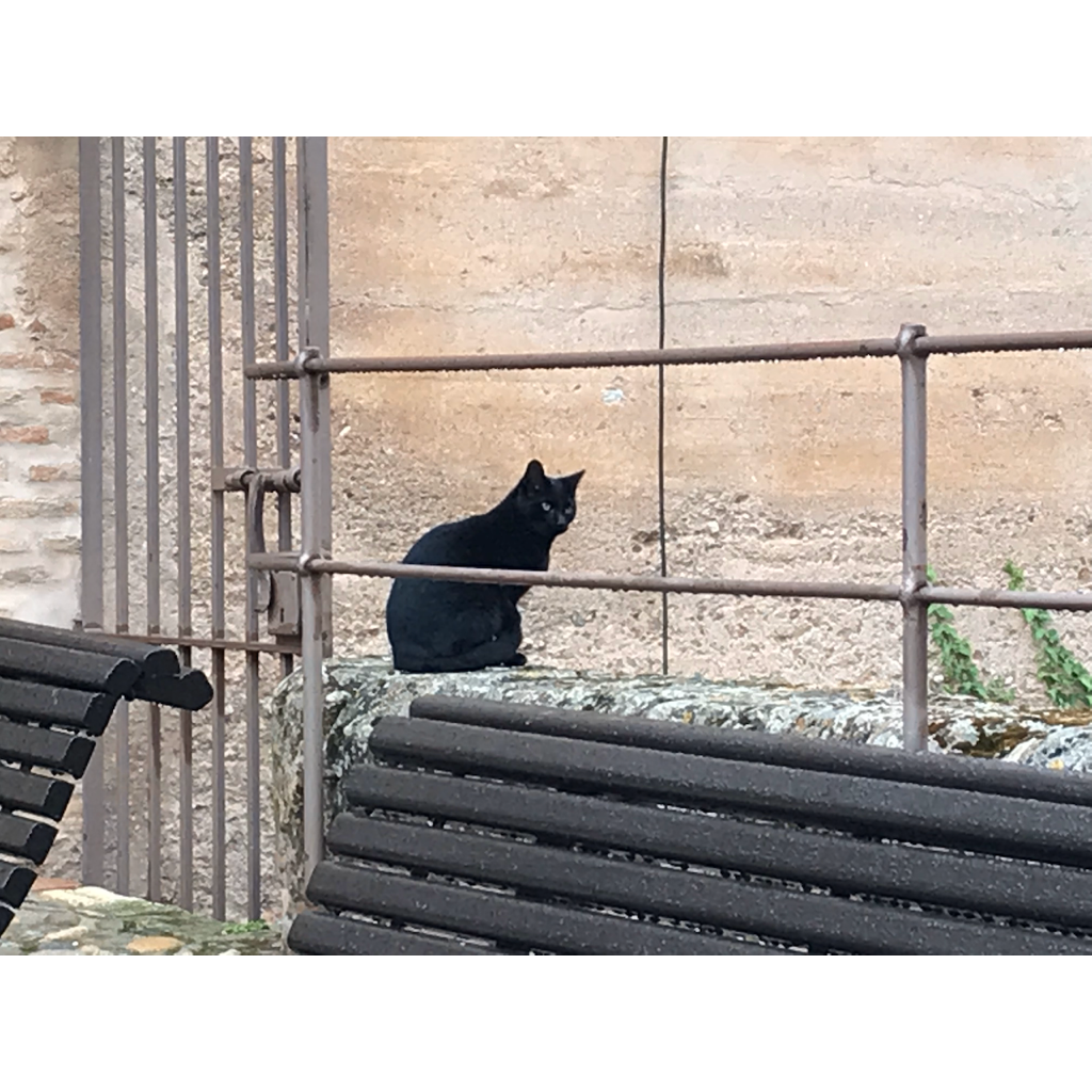 europe2019_web - 1270