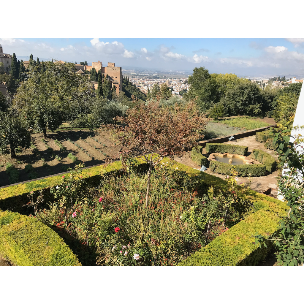 europe2019_web - 1274