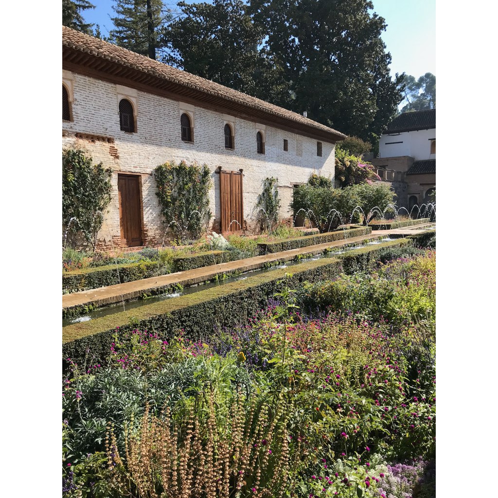 europe2019_web - 1275