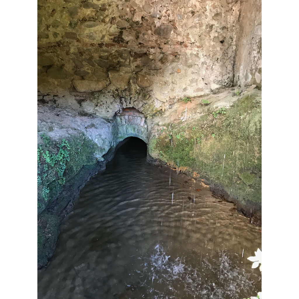 europe2019_web - 1276