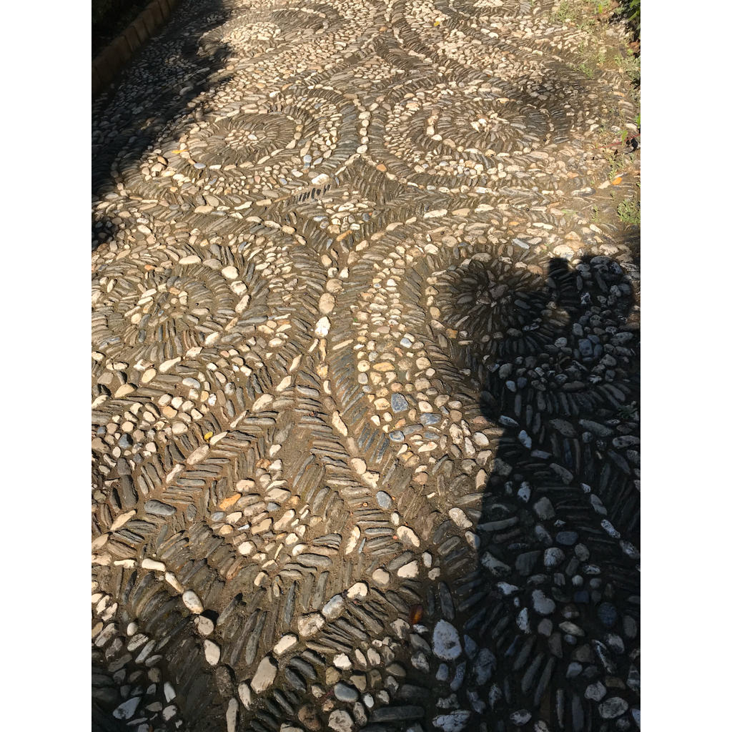 europe2019_web - 1278