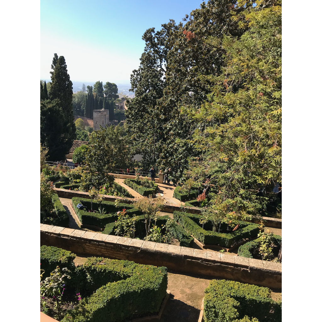 europe2019_web - 1279