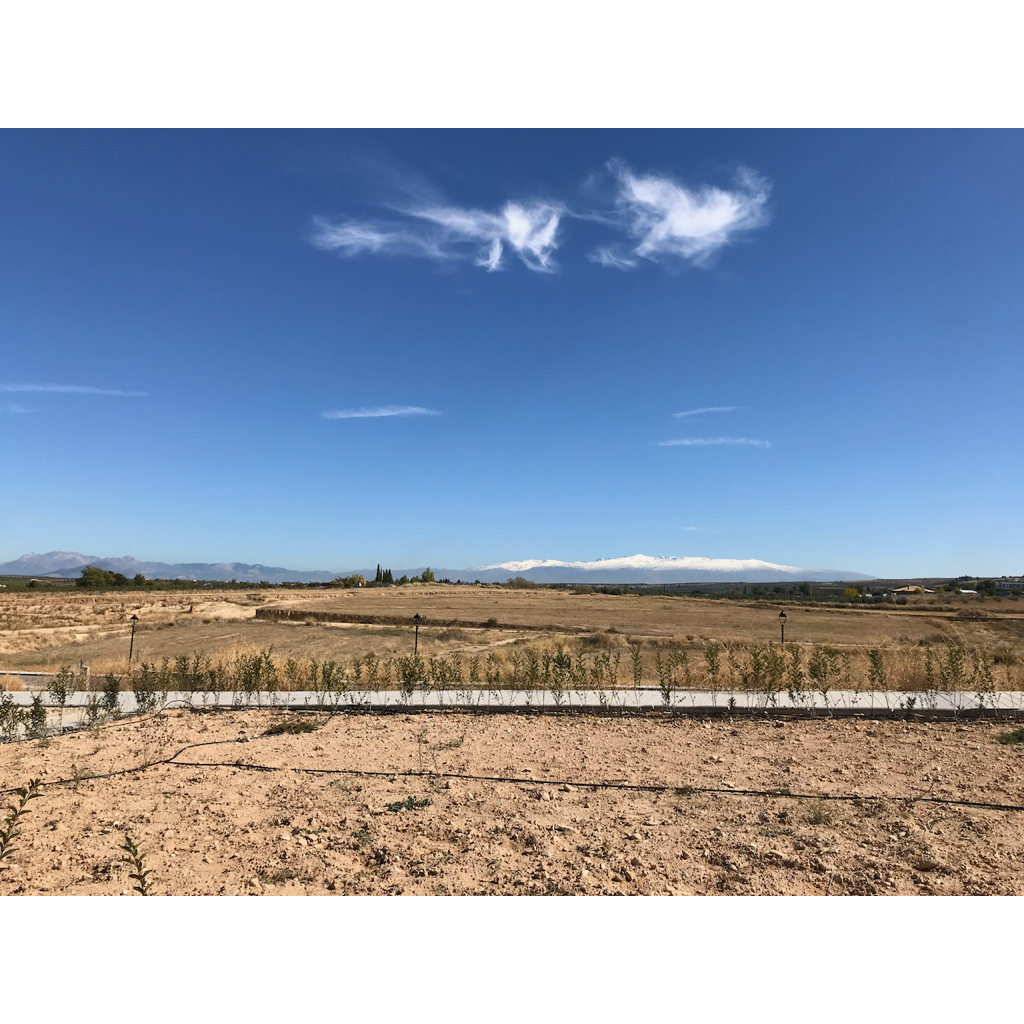 europe2019_web - 1285