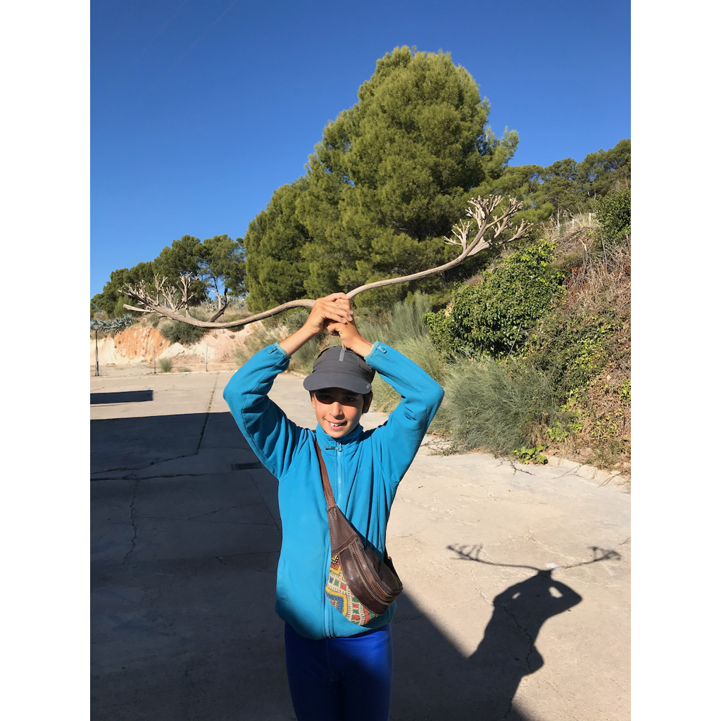 europe2019_web - 1291