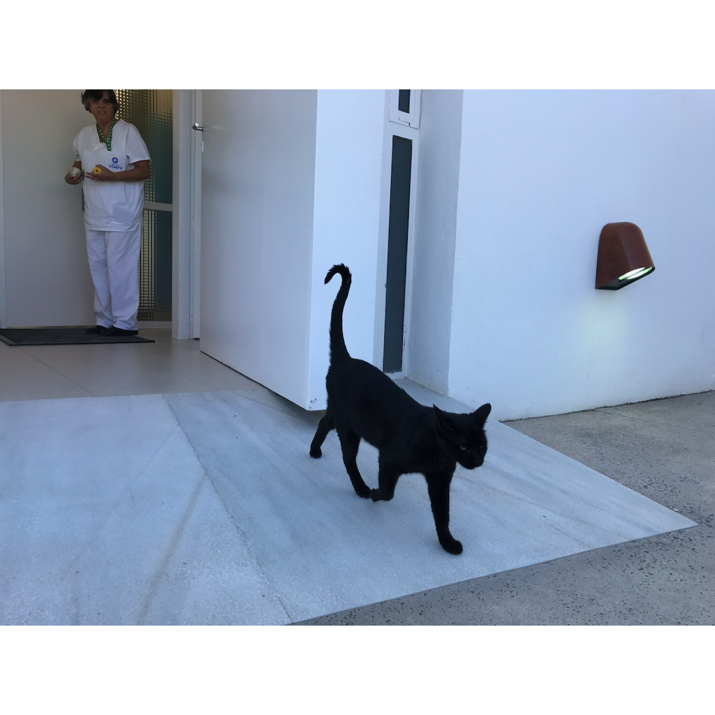 europe2019_web - 1294