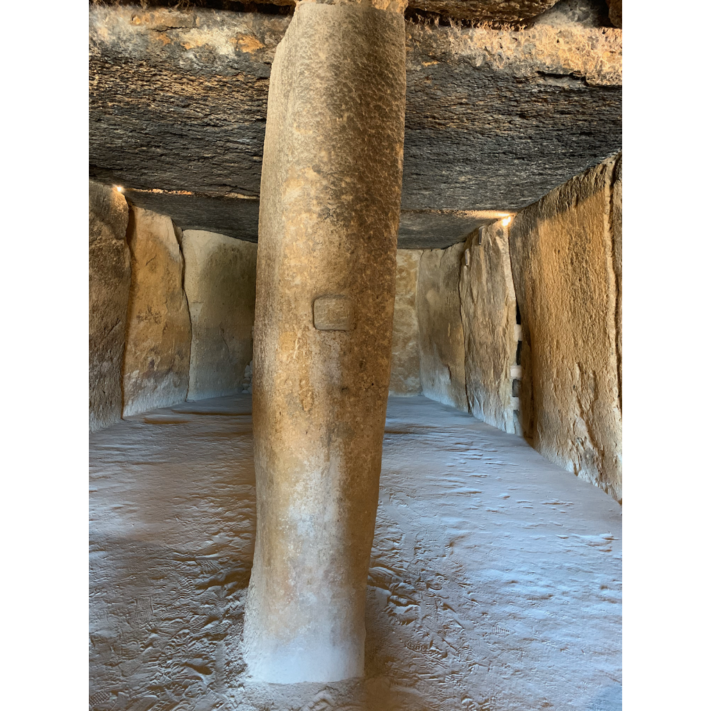 europe2019_web - 1298