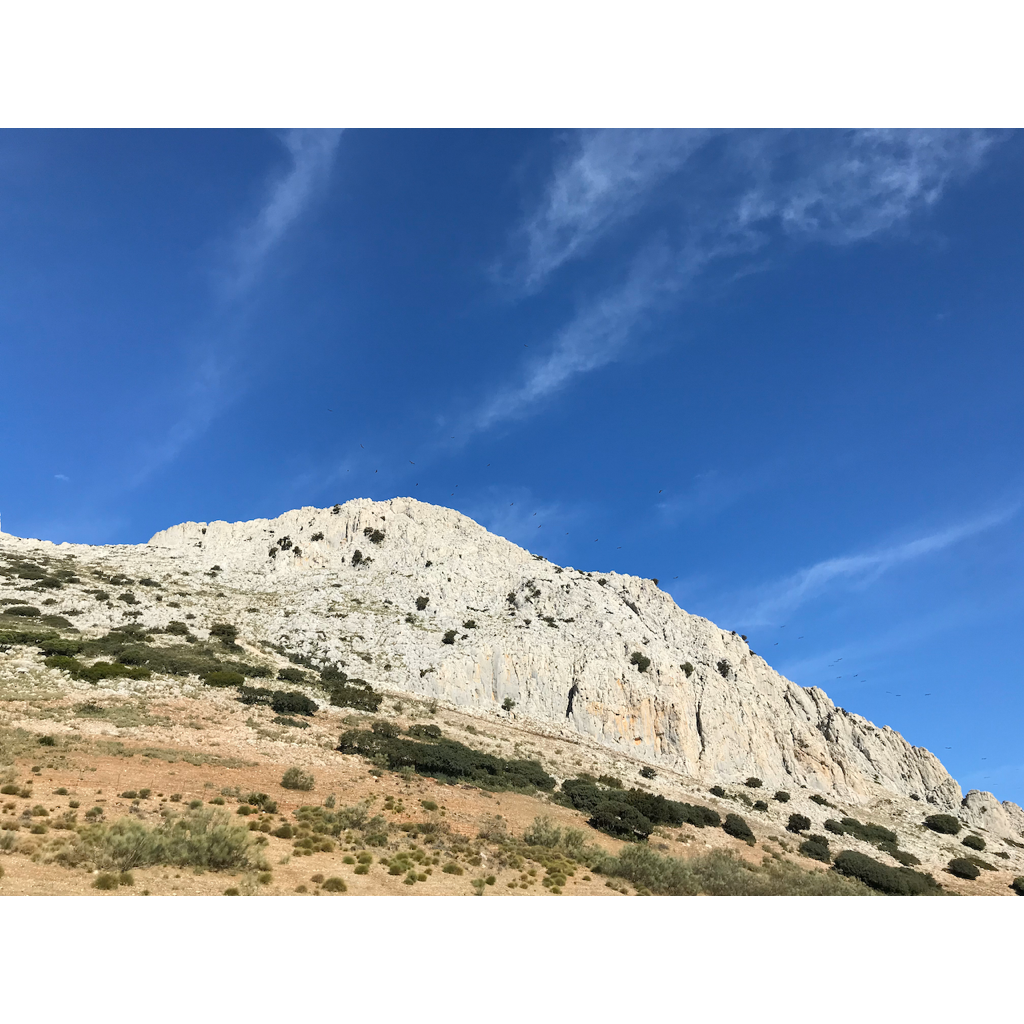 europe2019_web - 1317