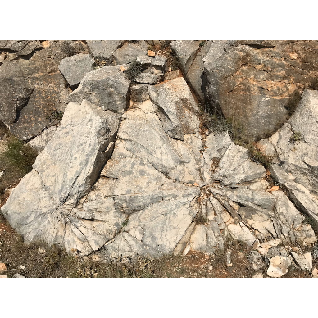 europe2019_web - 1319