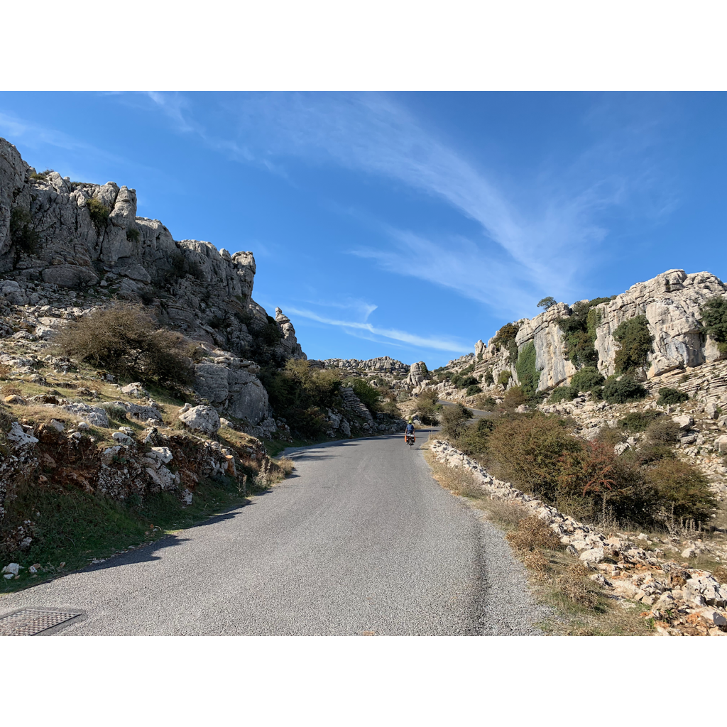 europe2019_web - 1321