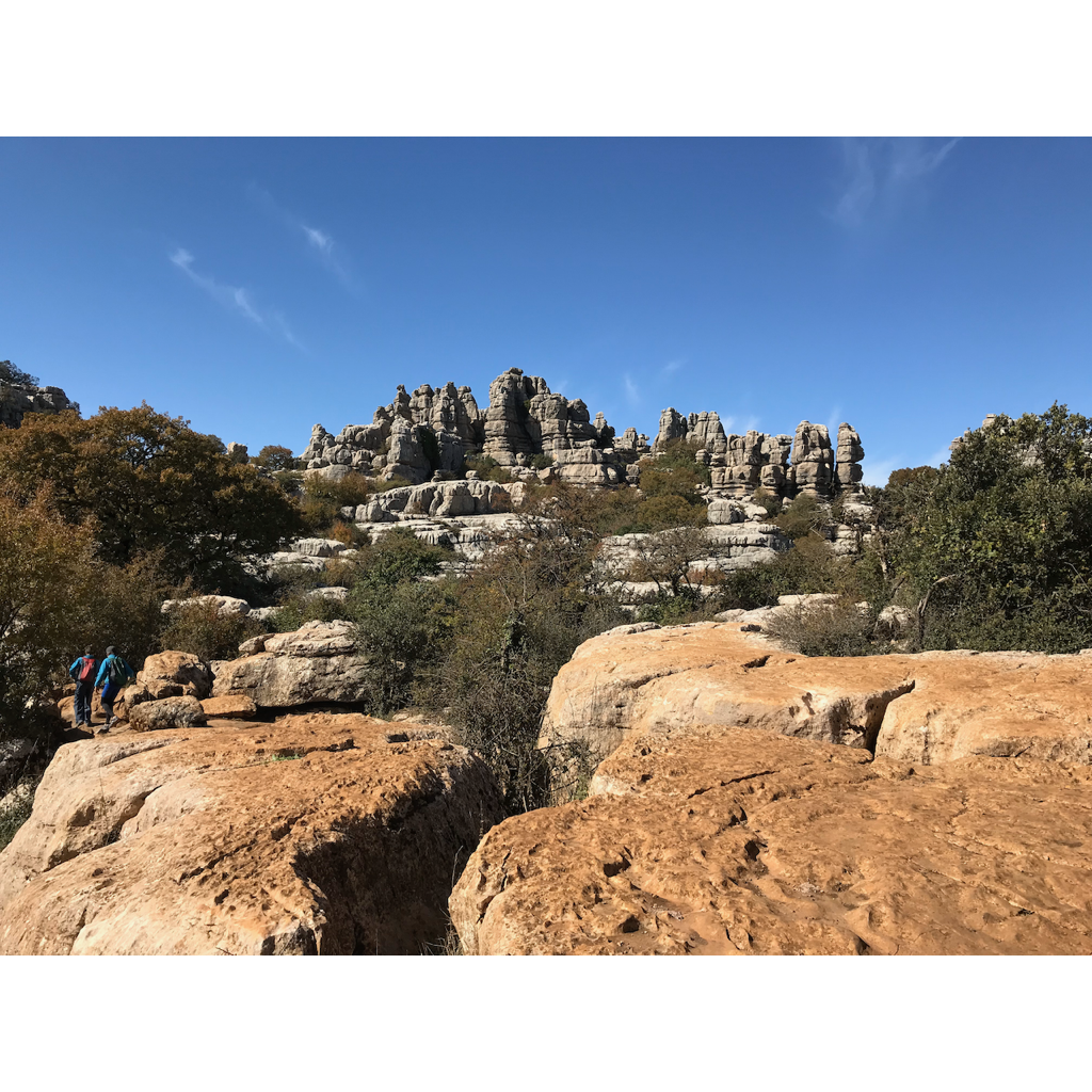 europe2019_web - 1325