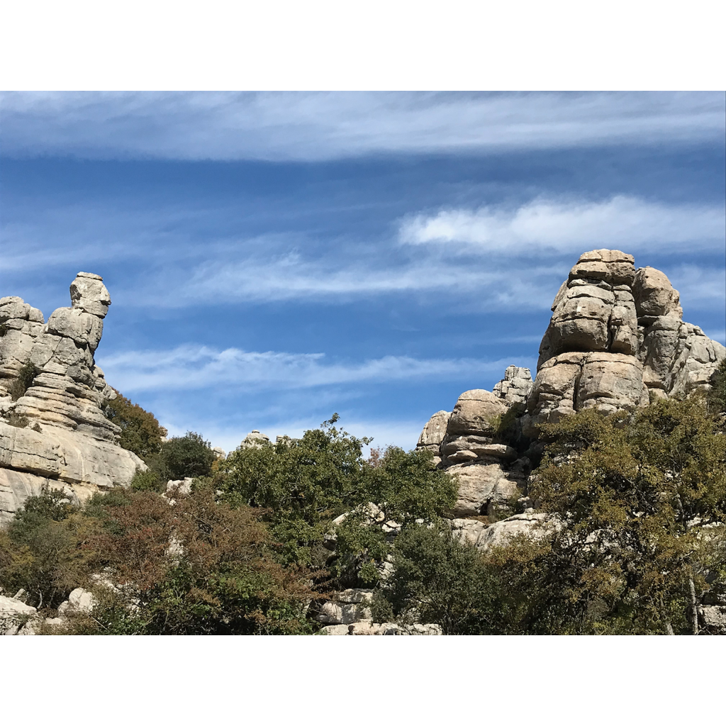 europe2019_web - 1327