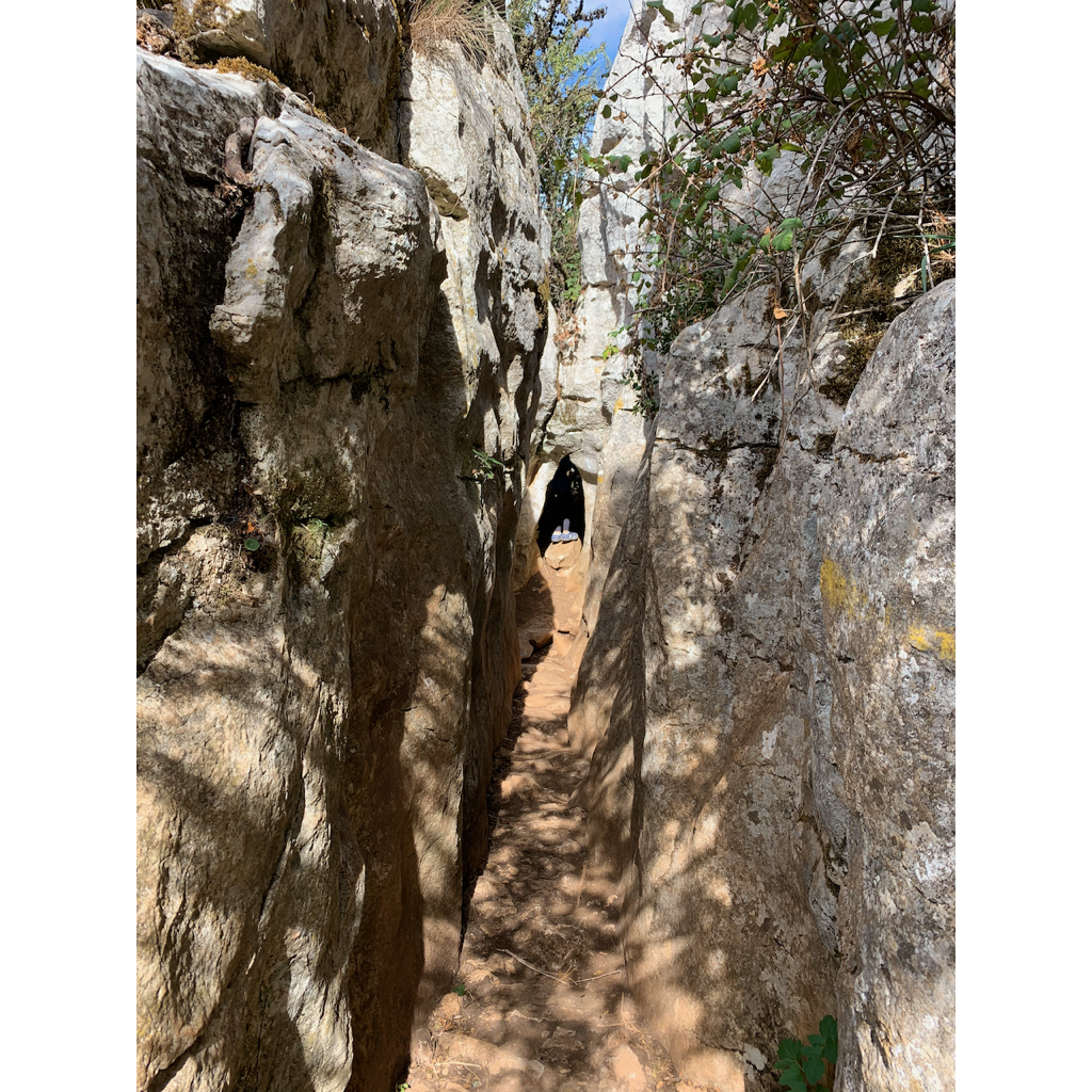 europe2019_web - 1329