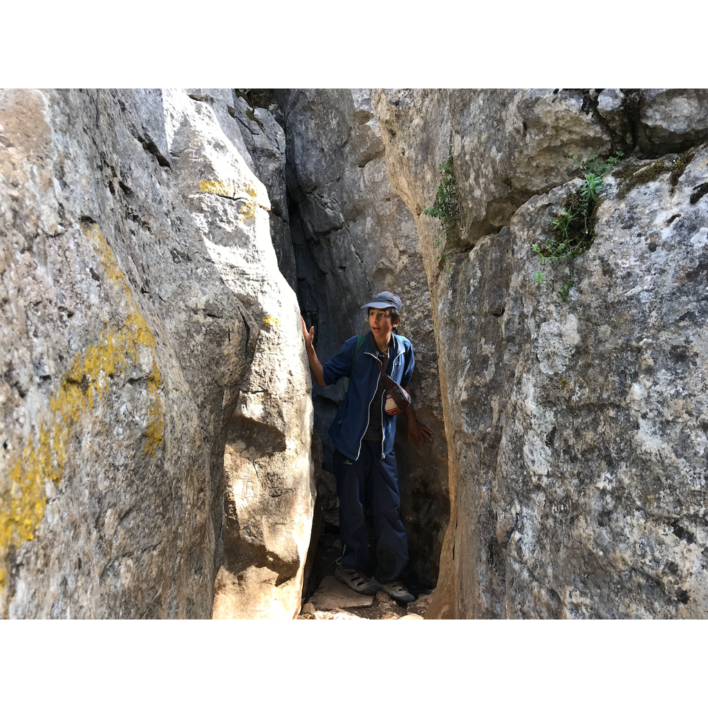 europe2019_web - 1330