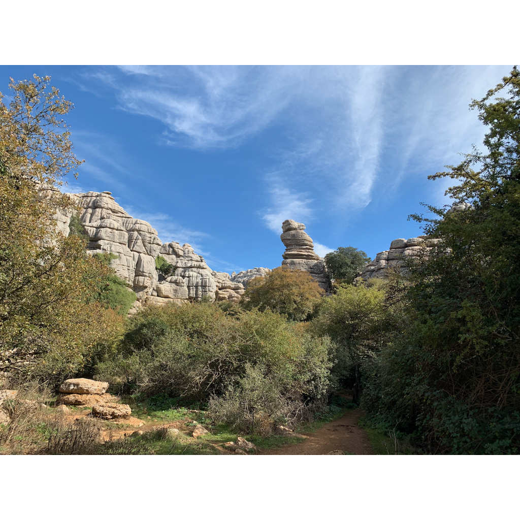 europe2019_web - 1332