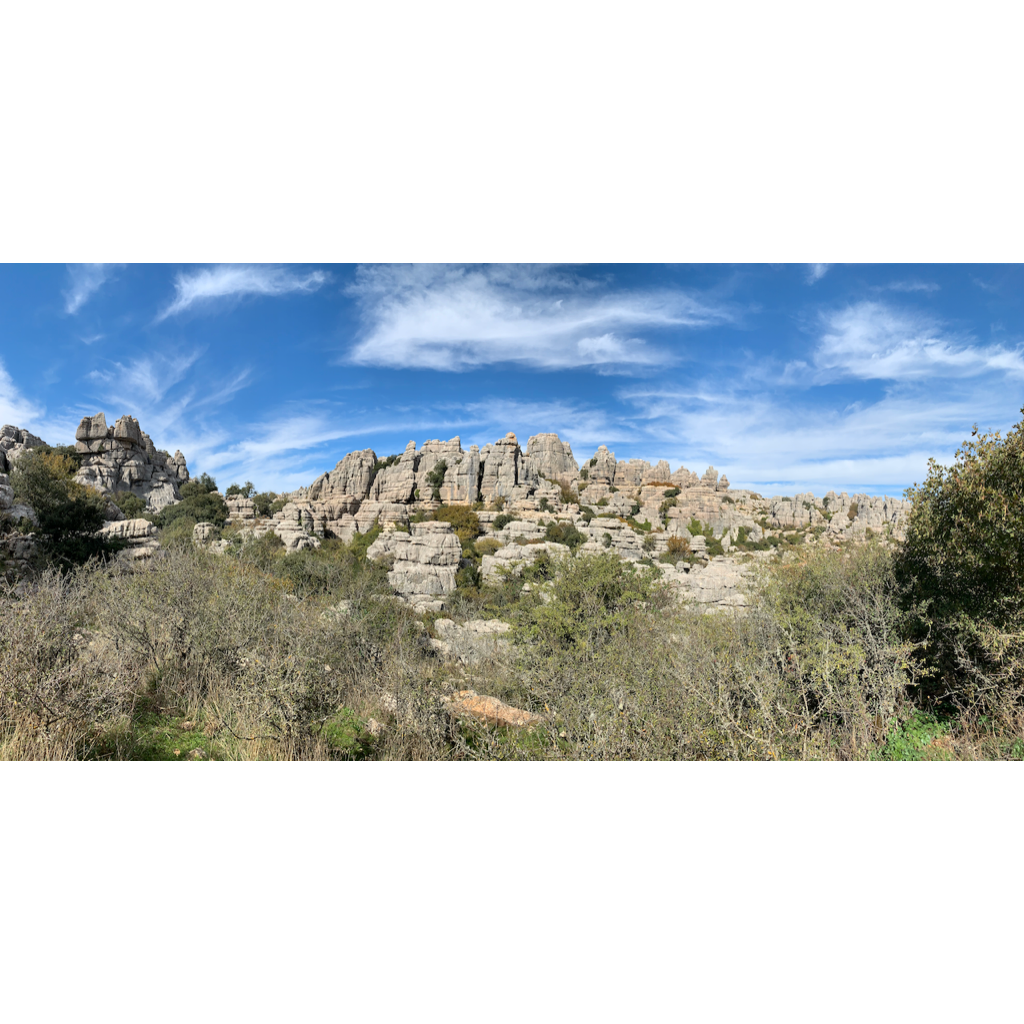 europe2019_web - 1333