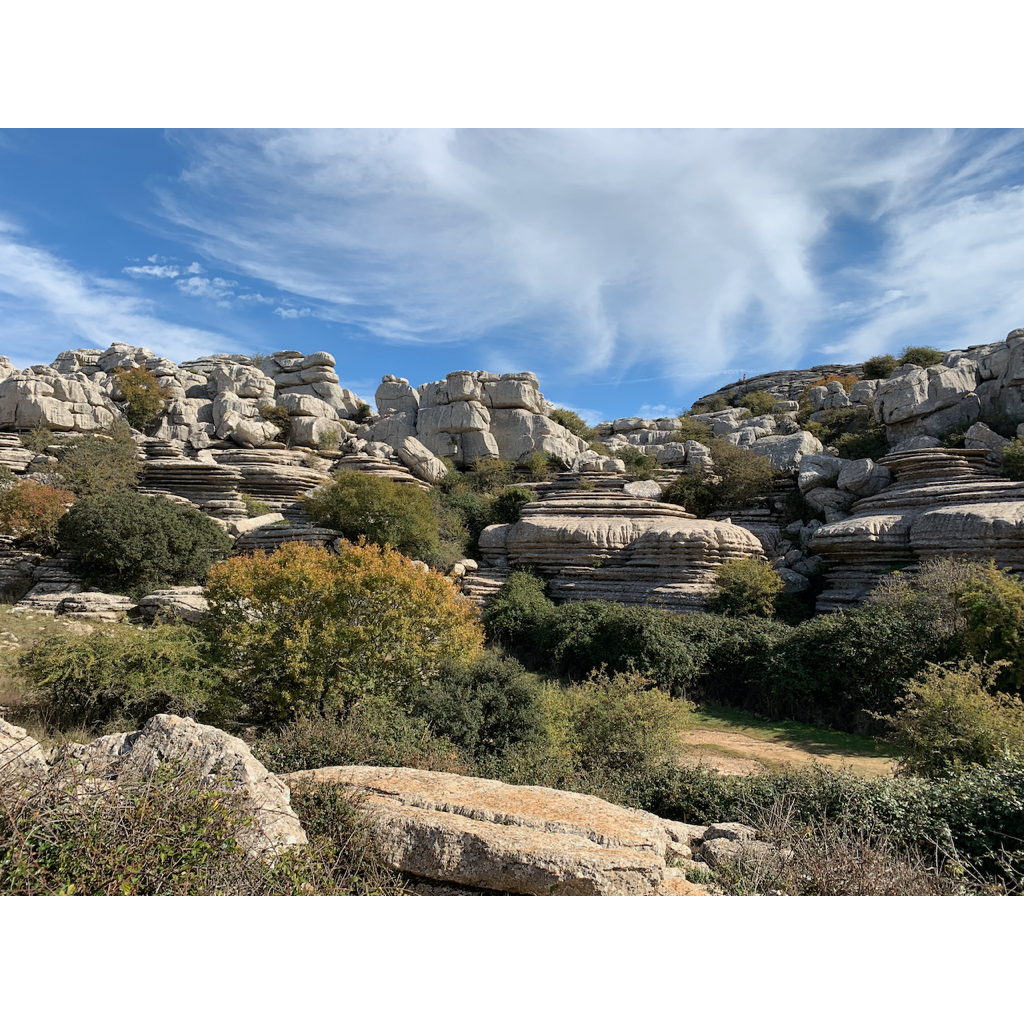 europe2019_web - 1336